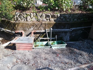 富士山の天然湧水の写真です