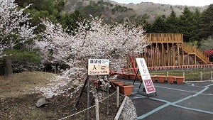 富士芝桜まつり 展望台入口