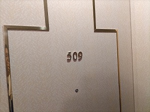 509号室