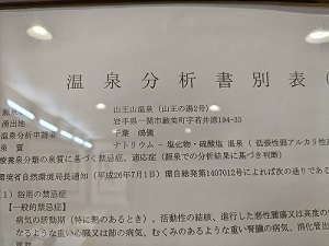 温泉分析書の写真です