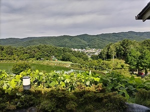 露天風呂からの眺めです