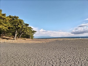 静岡県静岡市 三保松原の写真です