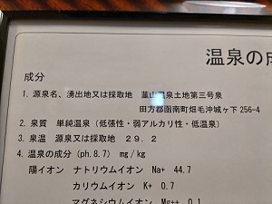 伊豆畑毛温泉 誠山 温泉分析書の写真です