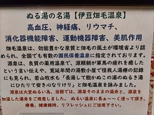 伊豆畑毛温泉 誠山 温泉の説明の写真です