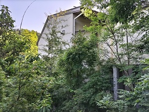 松仙閣 客室 部屋からの眺めの写真です