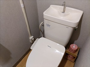 ホテルカアナパリ トイレの写真です