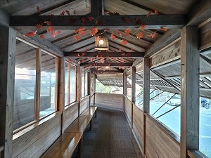 滝見苑けんこう村 ごりやくの湯 大浴場方面通路の写真です