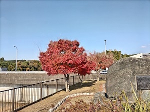 亀山湖 駐輪場の写真です