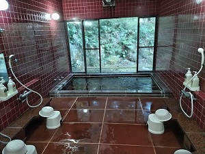 南箱根ヴィラ 大浴場の写真です