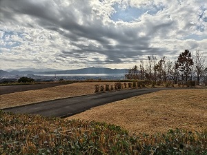駿河湾沼津SAの写真です